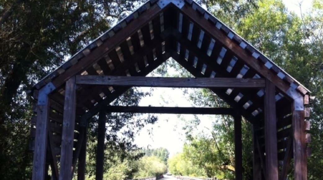 Juanita Bay Bridge is the old main road in Kirkland. It's been converted to a recreation path connecting Juanita Bay Park and Juanita Bay. Great place to stroll/jog/bike and watch wildlife on Lake Washington.