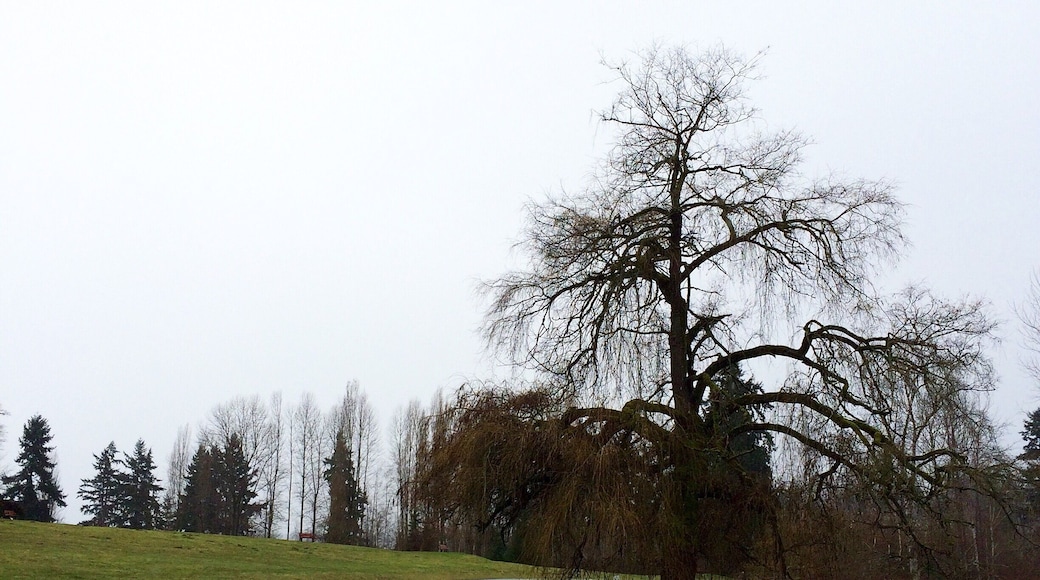 Lovely park... especially when there are very few people walking around. :)