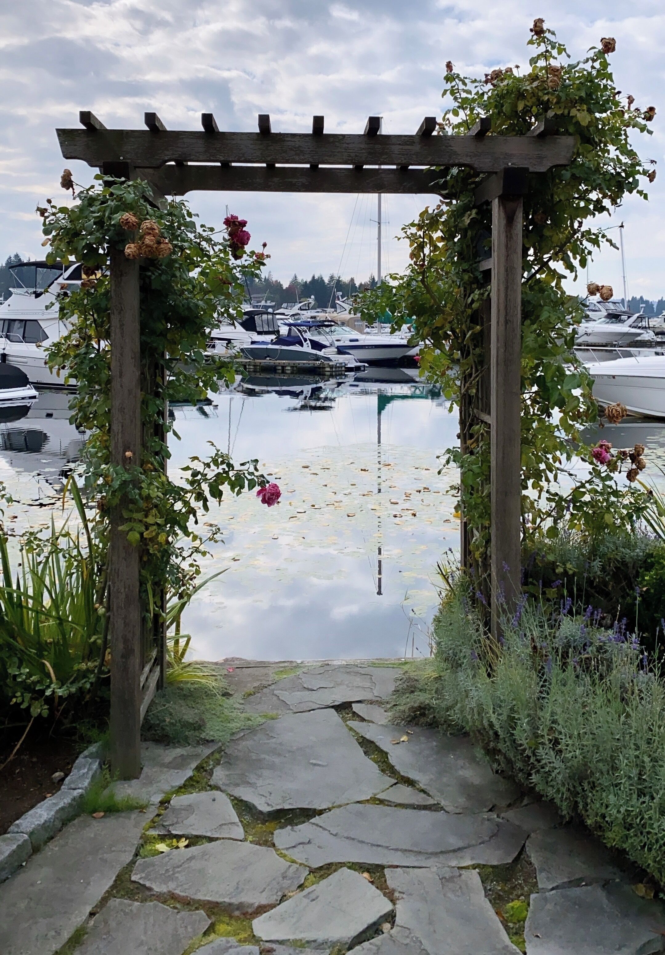 Love walking by here when more of the flowers are blooming. It’s still nice right now, though. :)