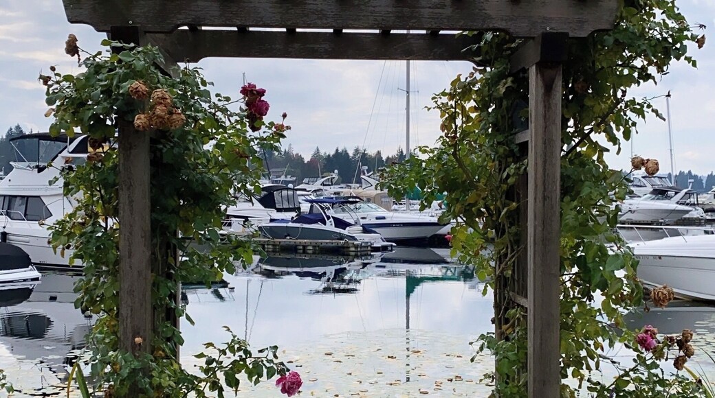 Love walking by here when more of the flowers are blooming. It’s still nice right now, though. :)