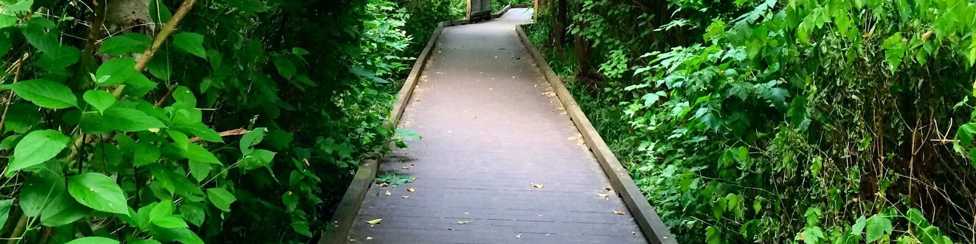 Looks like most people come to this park for the playground, but I like the little paths!