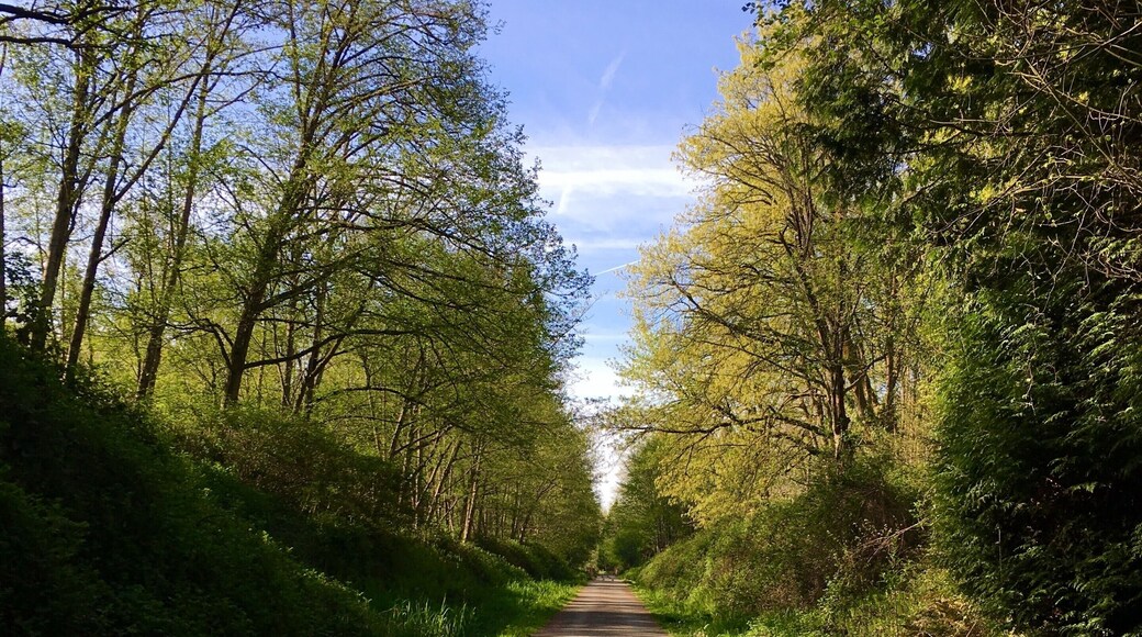 A 5.75-mile corridor through the heart of Kirkland and the first improved section of the Eastside Rail Corridor. #bikeexpedia