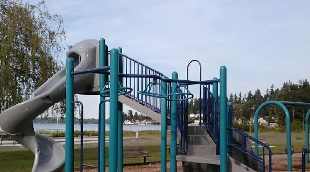 Bigtoy, slide and lots of swings at this Lake Washington park in Juanita.