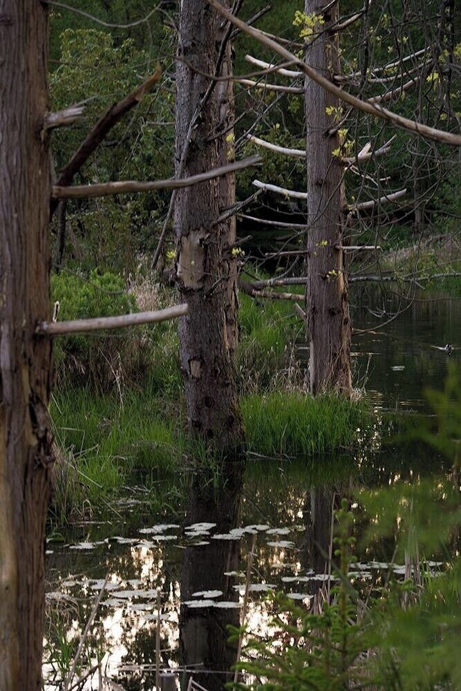 Juanita is a neighborhood of Kirkland, Washington located along the northeast edge of Lake Washington.