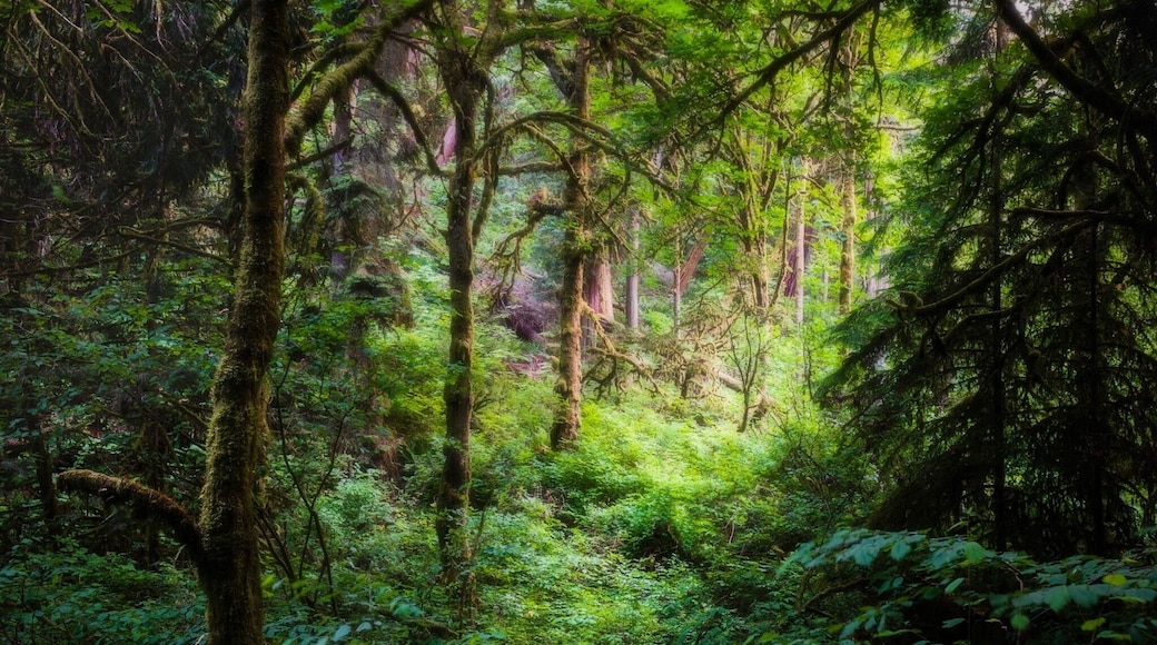 #hiking around #westernwashington