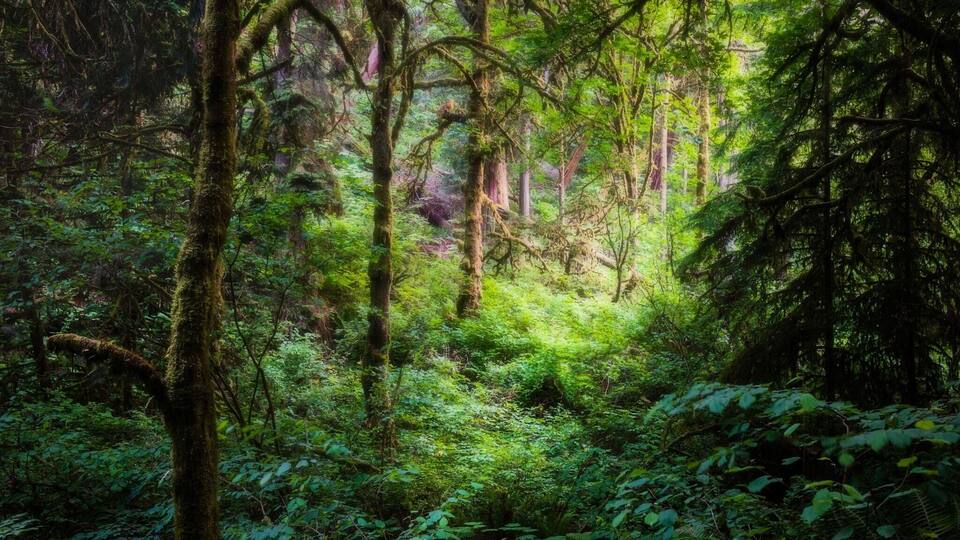 #hiking around #westernwashington