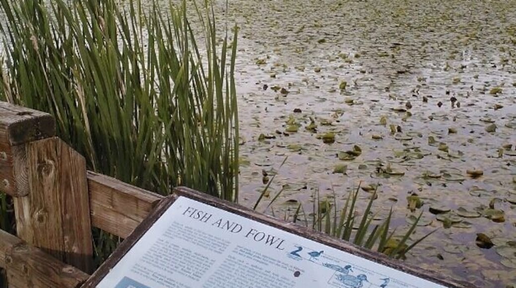 signage at Juanita Bay Park helps visitors identify wildlife (birds, turtles, fish...)