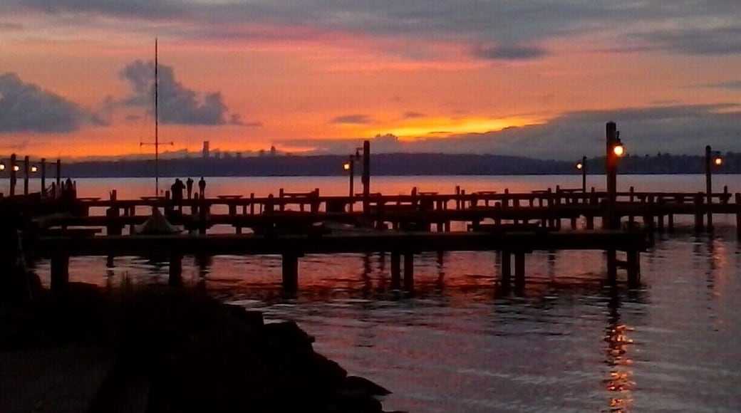 Holiday sunset over Lake Washington... December sun in the Northwest is the best gift of the season!
#BestOf5