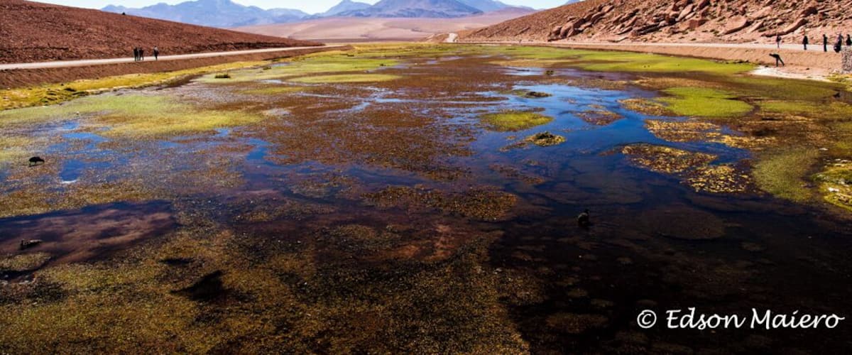 Rio La Putana
http://www.phototravel360.com/atacama-madrugando-rumo-aos-geisers-del-tatio/