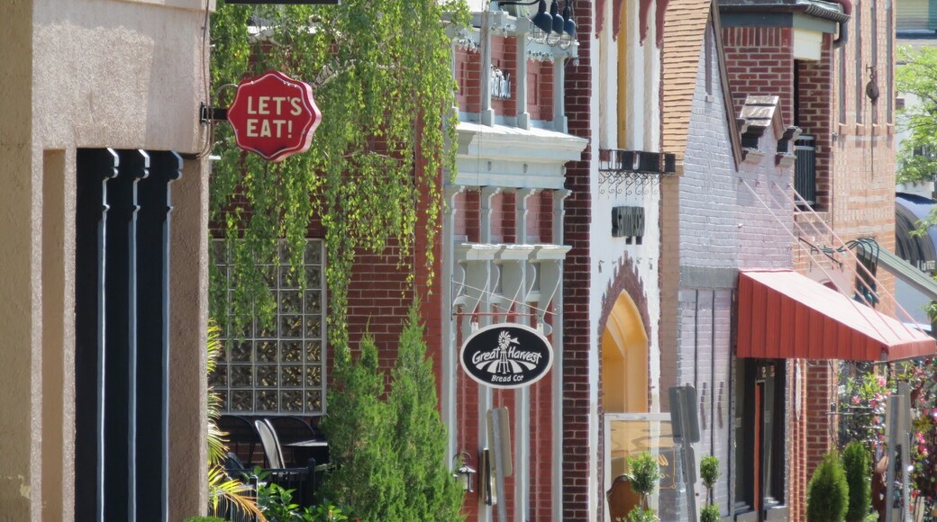 View down Argonne Street, Kirkwood Missouri, across from the Amtrak Station.