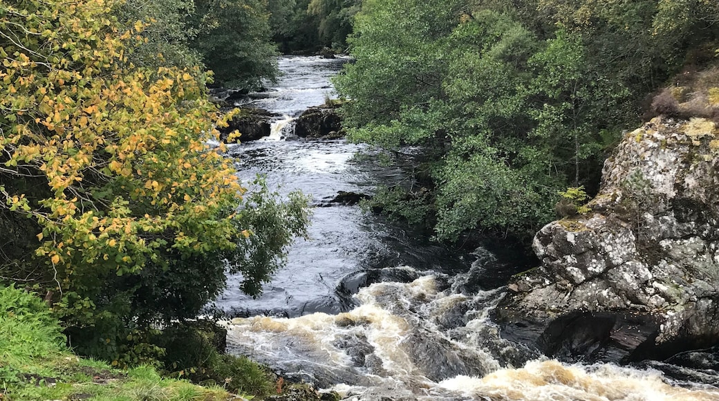 The Falls of Shin, Northern Scotland.