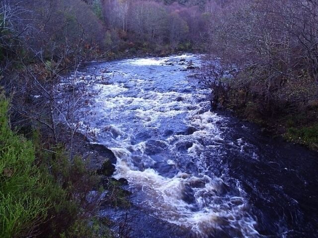 A turbulent river flowing through a forested area.