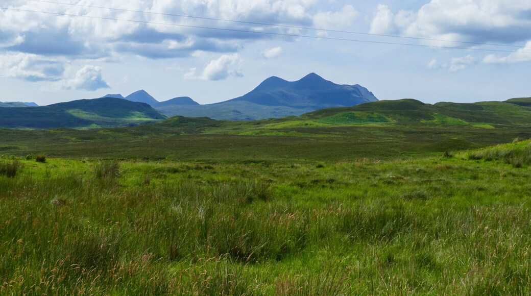 Wiesen, Felder und Hügel, bei Ledmore, in den Highlands von Schottland