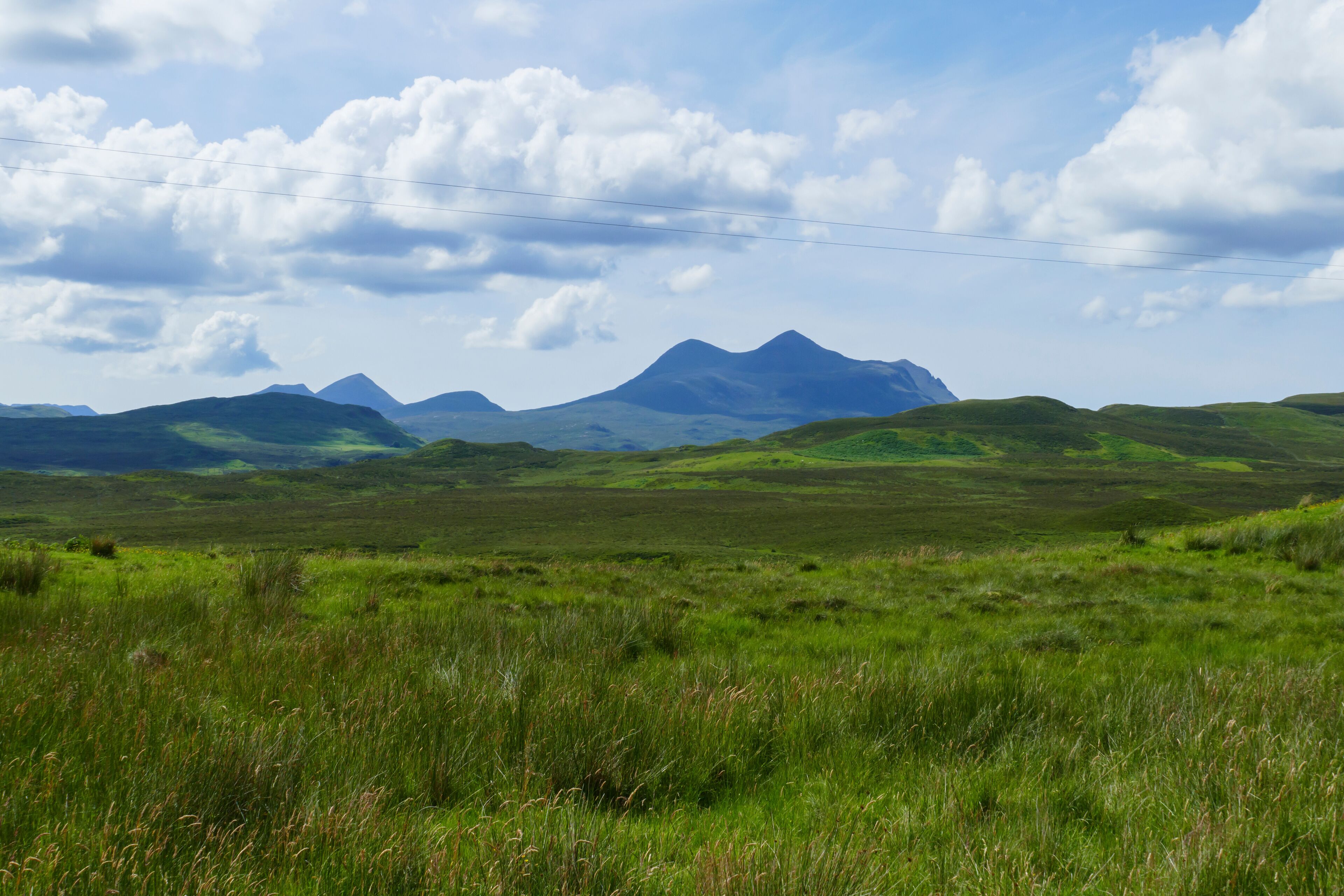 A grassy landscape with rolling hills and a mountain in the background.