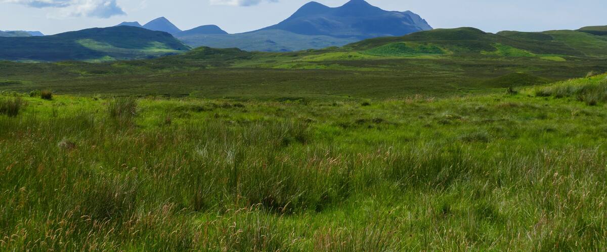 A grassy landscape with rolling hills and a mountain in the background.