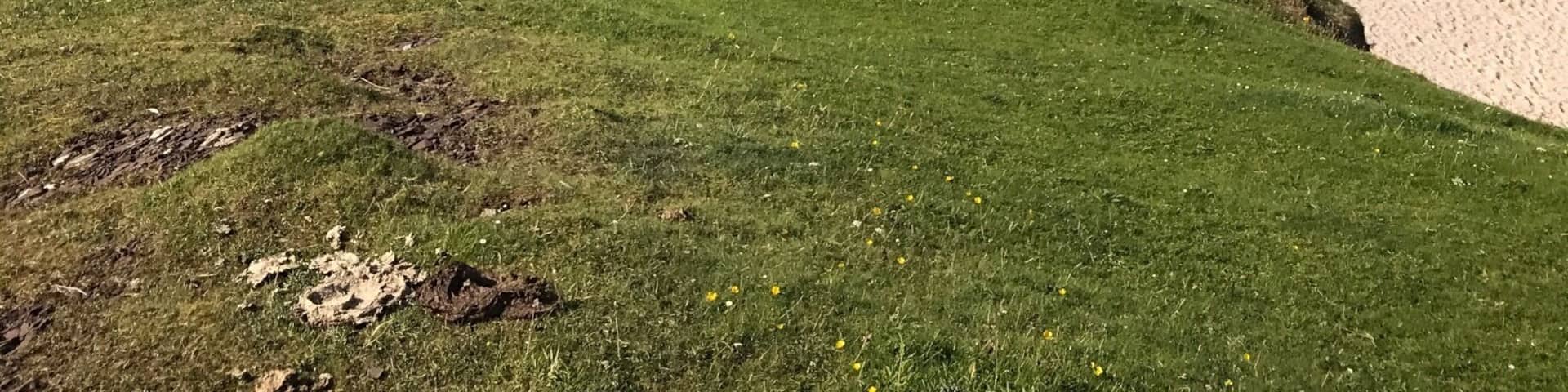 Clachtoll beach. If only Scotland could produce this weather everyday. Amazing spot.