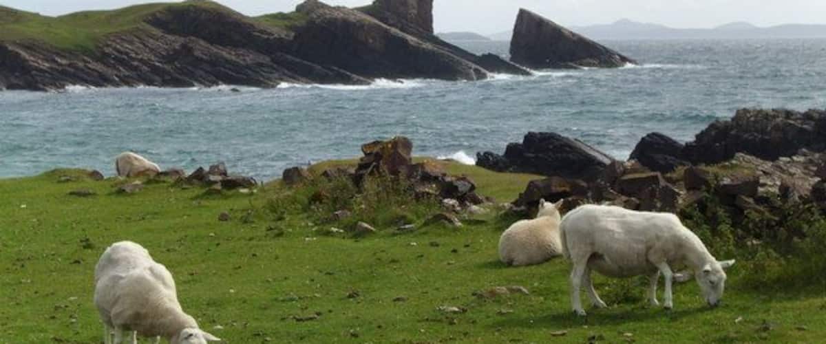 Clachtoll The village and bay are named after the prominent rock on the headland. 'Clach' - meaning rock and 'toll' meaning hole.