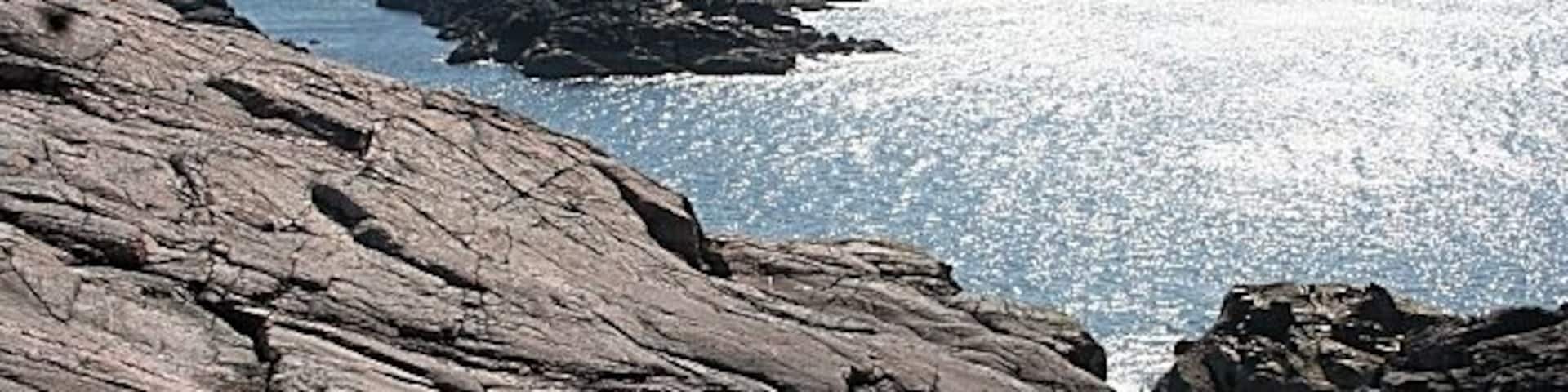 Rubha a'Mhill Ghlaise 'Headland of the smooth lumps' is a very apt name for this outcrop of ic-smoothed rock.