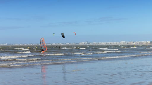 拉博爾埃斯庫布拉克