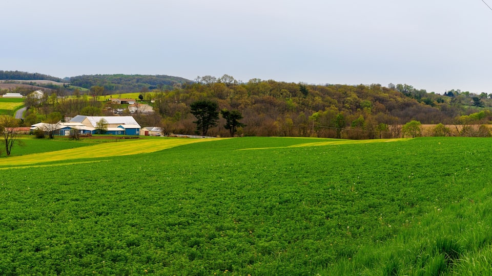 A lush green field, a farm with blue and white buildings, and rolling hills in the background.