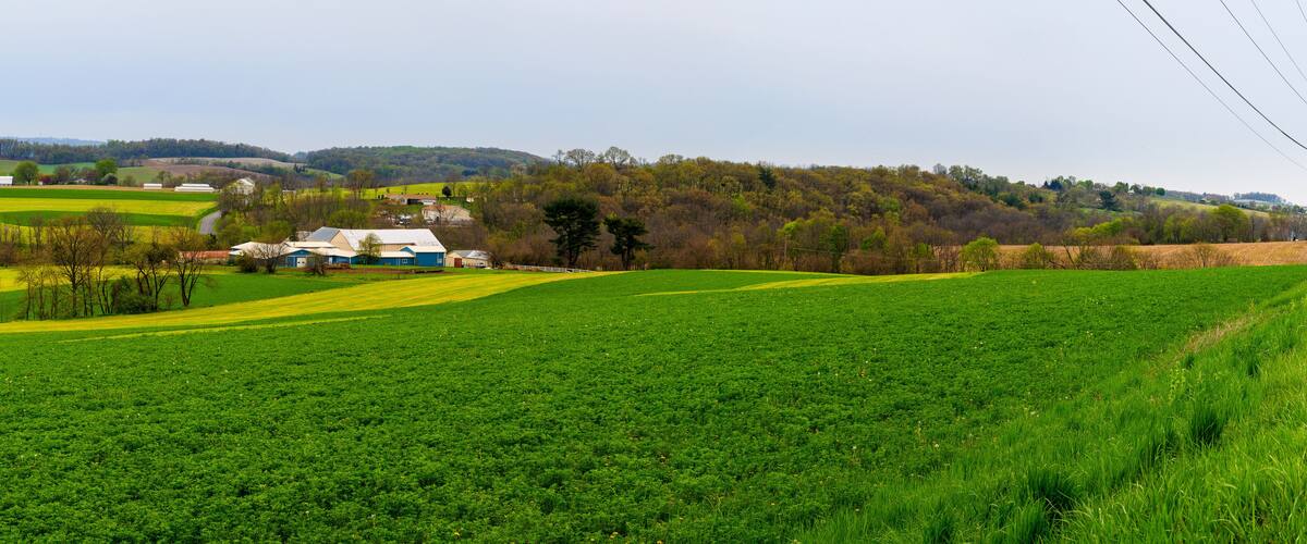 A lush green field, a farm with blue and white buildings, and rolling hills in the background.
