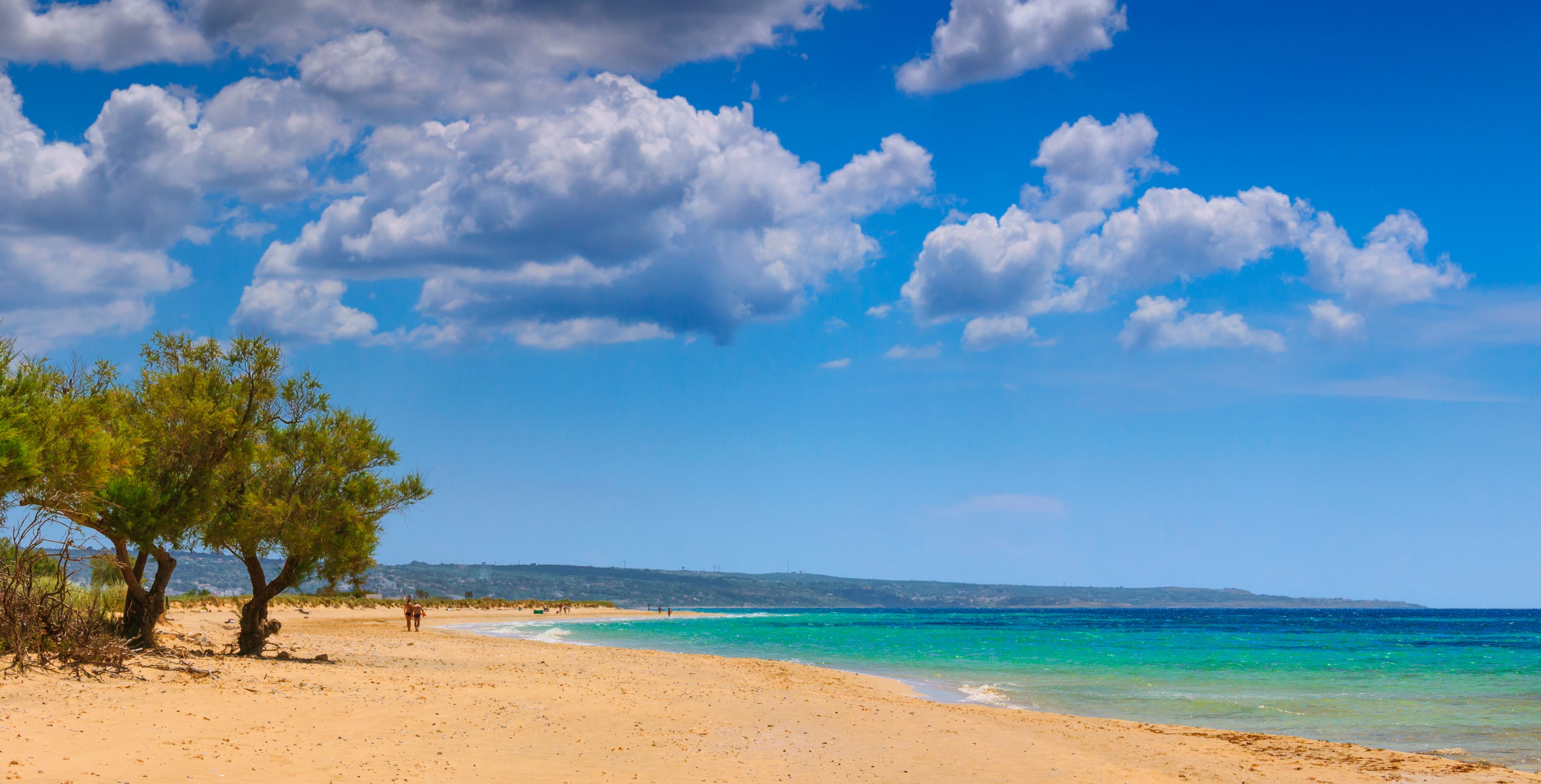 A beach with clear turquoise waters, a sandy shore, and a tree-lined path.