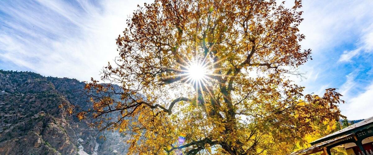 Bumburet Village II Kalash Pakistan
ๆๅฝฑๆฌๆฅๅฐฑๆฒกๆไธๅฏๆ็ ด็ๆณๅ๏ผไฝ ่งๅพ่ชๅทฑๅบ่ฏฅๆไนๆ๏ผ้ฃๅฐฑๆไนๆใ