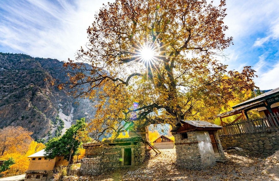 Bumburet Village II Kalash Pakistan
摄影本来就没有不可打破的法则,你觉得自己应该怎么拍,那就怎么拍。
