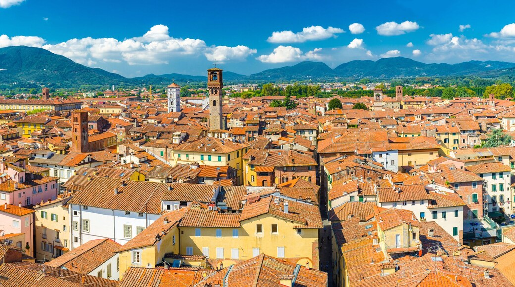 Lucca