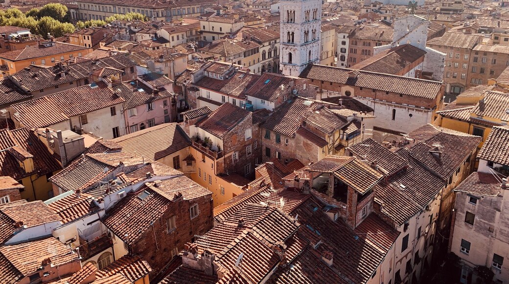 Shot taken from the Torre delle Ore, Lucca, Tuscany