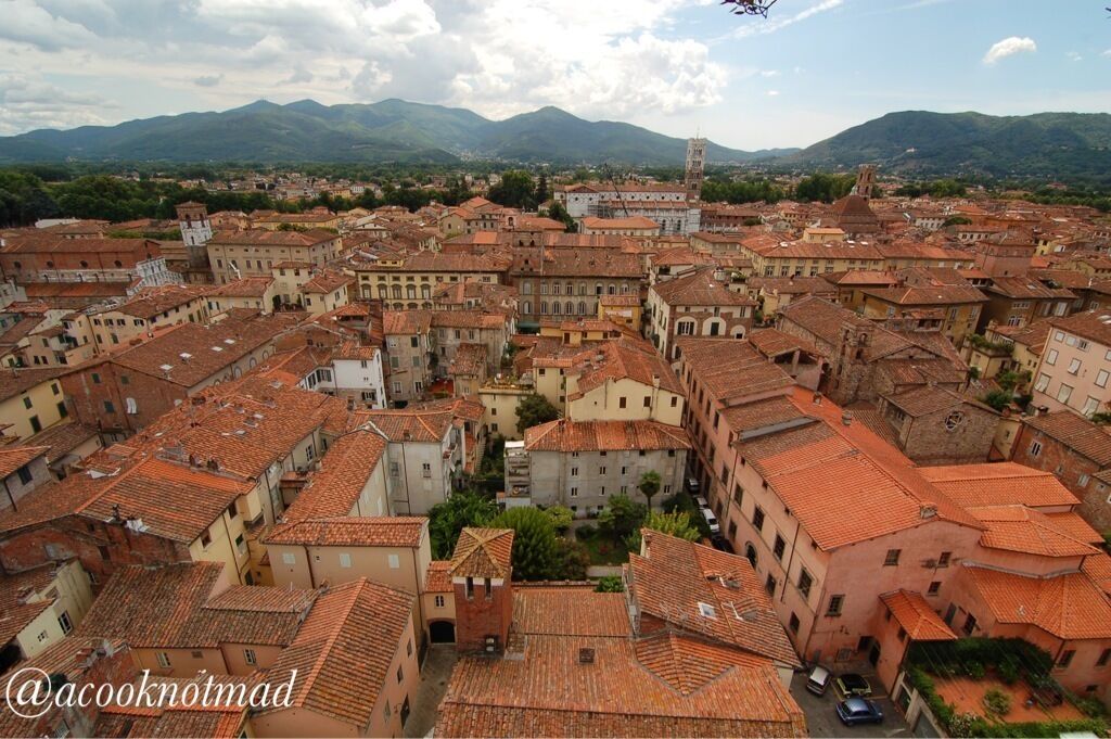 A densely packed town with red-tiled roofs, surrounded by mountains.