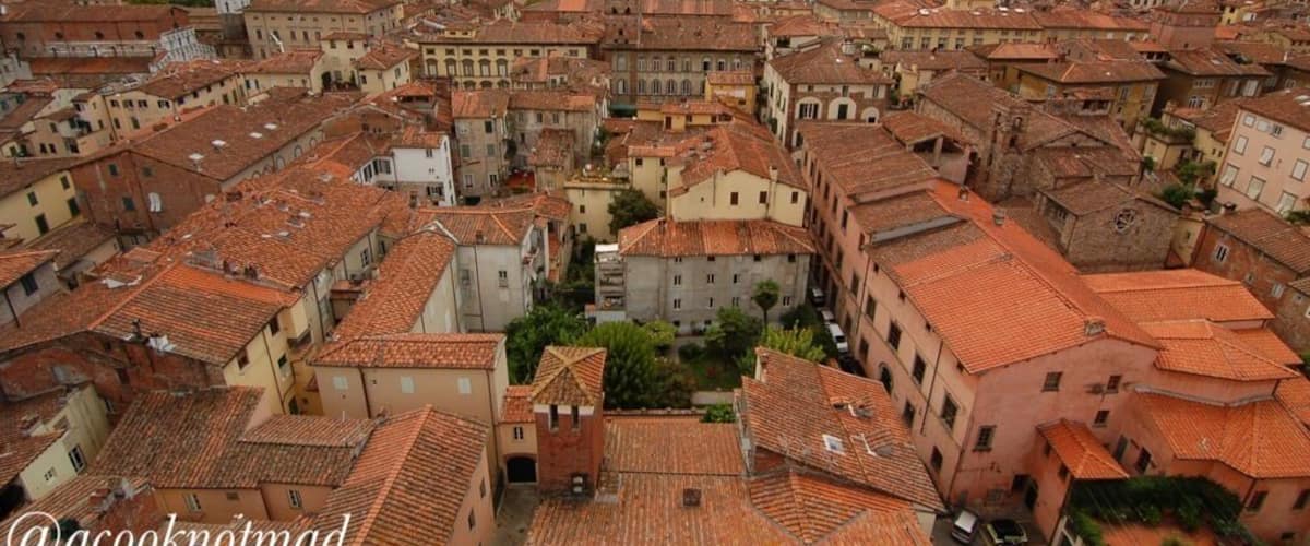 Go up either of the towers in the walled city of Lucca and you will be rewarded with this amazing view. #lucca #italy #europe #tuscany http://www.acooknotmad.com/2011/08/lucca-in-pictures.html #roadtrip