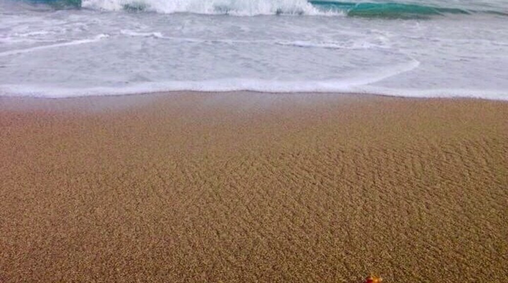 One of prettiest beaches in San Diego. #beachbound