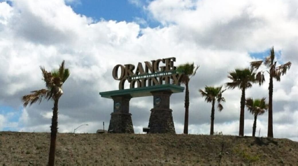 Leaving LA county, entering Orange County. Freeway opens up and I will be home soon