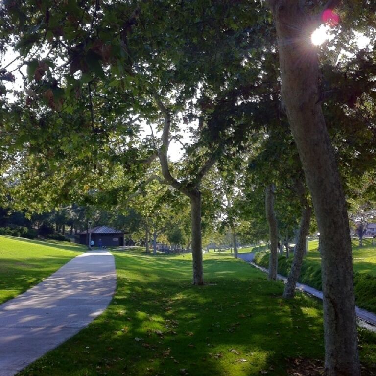 Very nice neighborly park