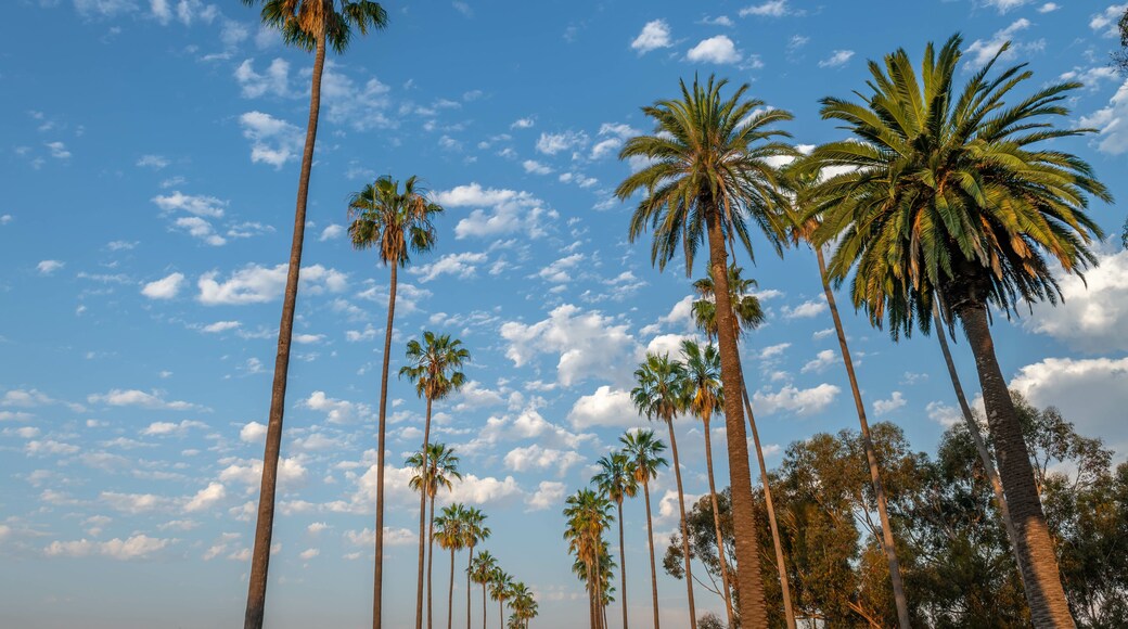 Los Angeles, California