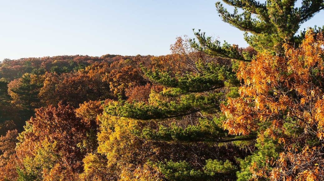Autumn colors on the Illinois River as the morning sun lights up the tree tops. Starved Rock State Park, Illinois, USA