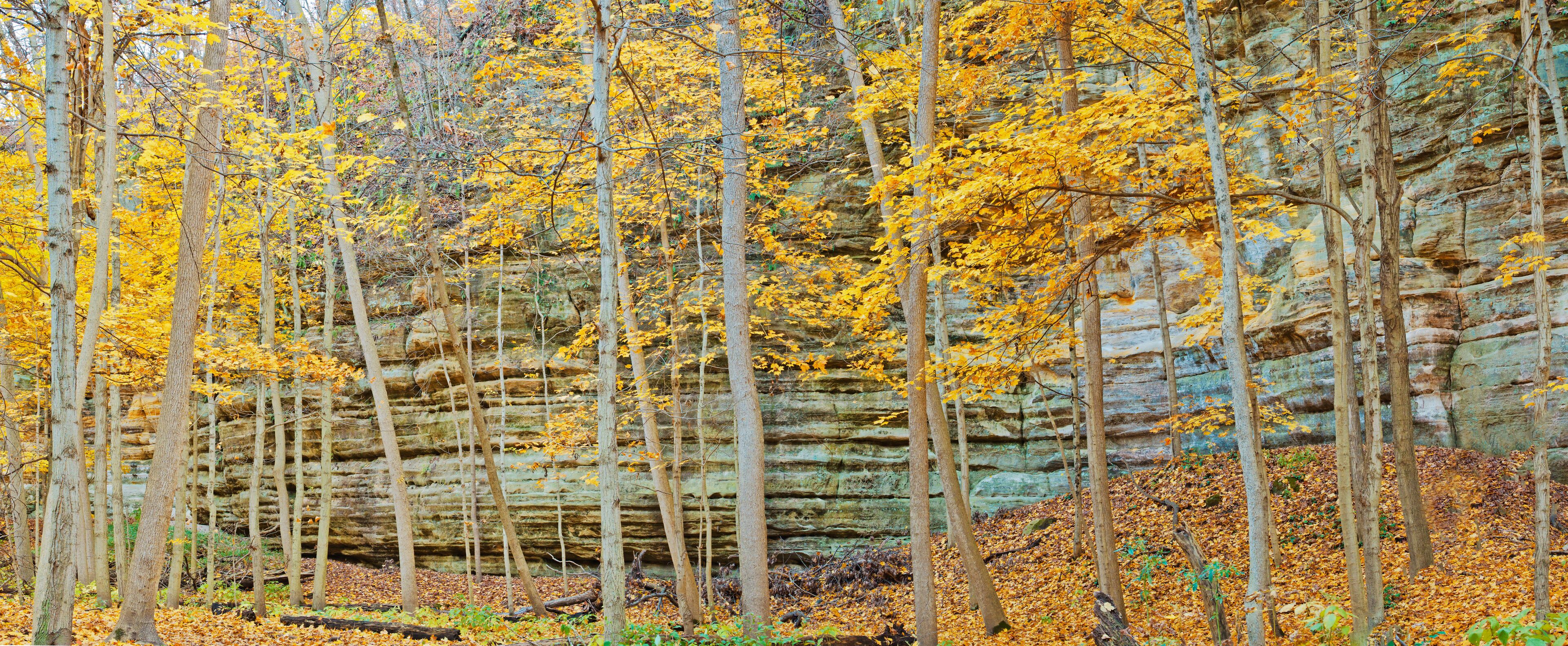 582-34 Illinois Canyon Panorama