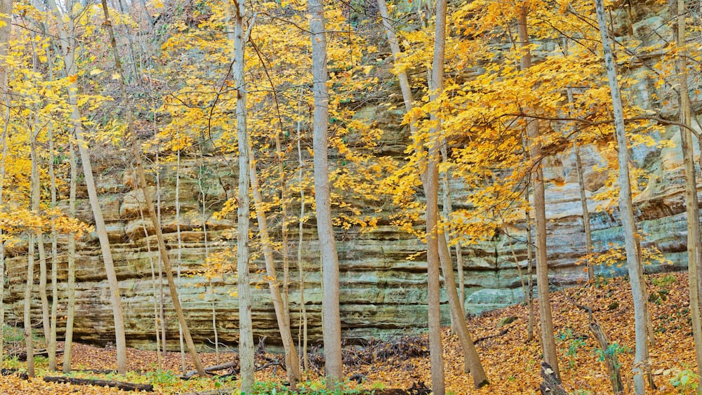 582-34 Illinois Canyon Panorama