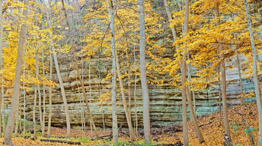 582-34 Illinois Canyon Panorama