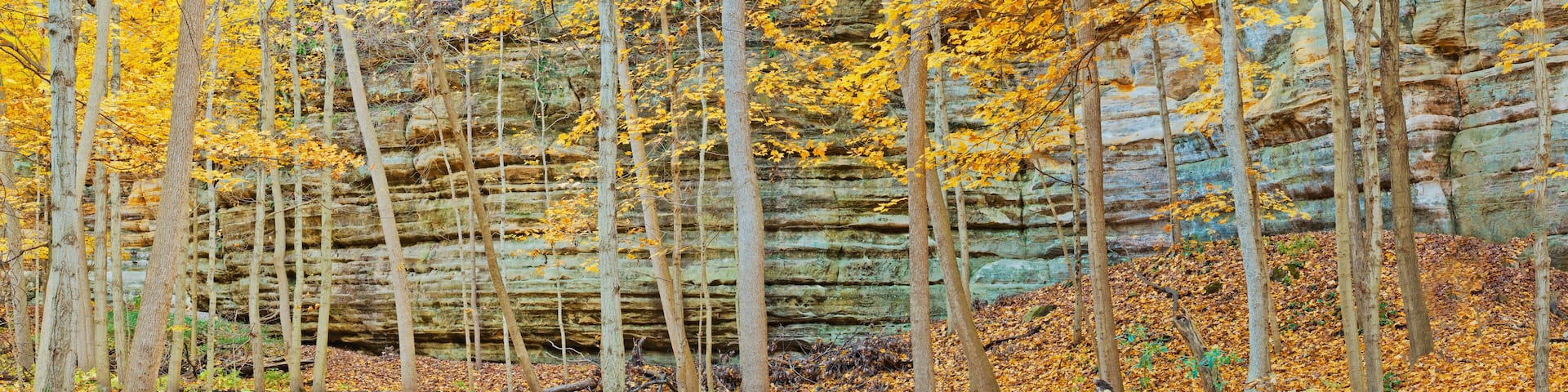 582-34 Illinois Canyon Panorama