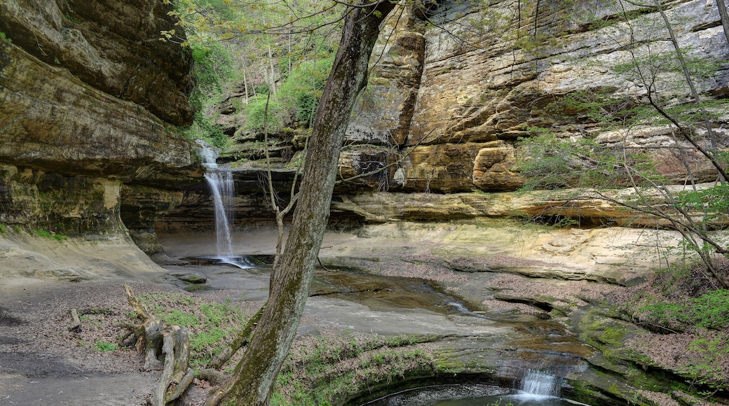 LaSalle Canyon Waterfall Starved Rock State Park Illinois