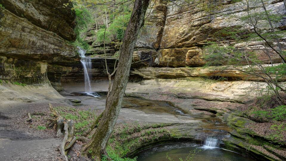 A waterfall cascading down a rocky cliff surrounded by lush greenery.