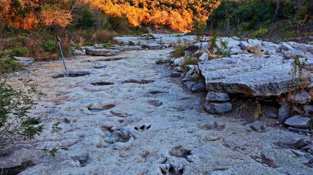 Fossilized dinosaur tracks line the dry Paluxy Riverbed in the Dinosaur Valley State Park near Glen Rose, Texas