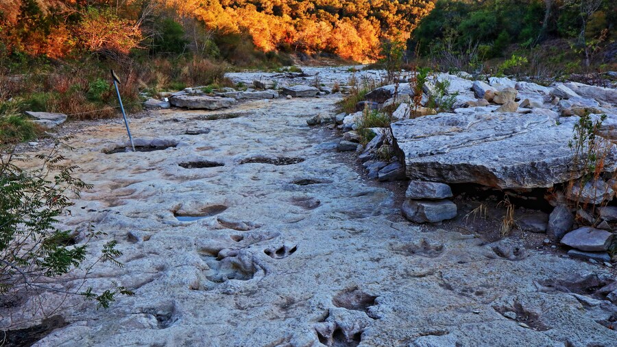 Parc dels Dinosaures
