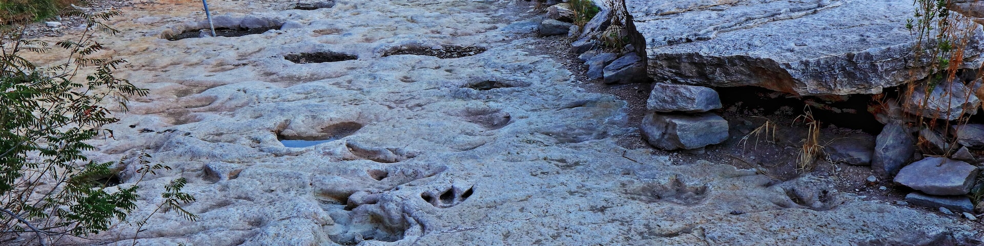 Fossilized dinosaur tracks line the dry Paluxy Riverbed in the Dinosaur Valley State Park near Glen Rose, Texas