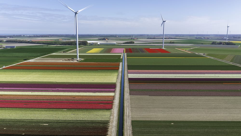 Un paysage comprenant des éoliennes et des champs agricoles.