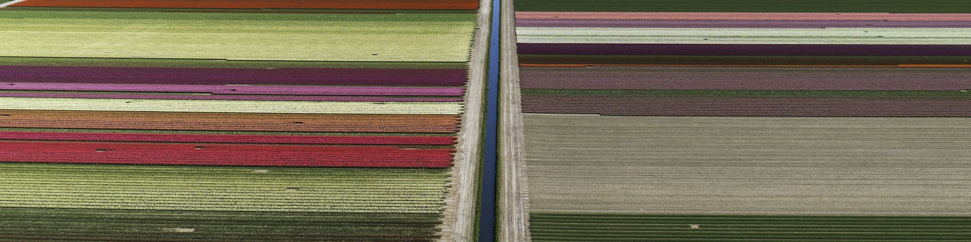 A landscape with wind turbines and agricultural fields.