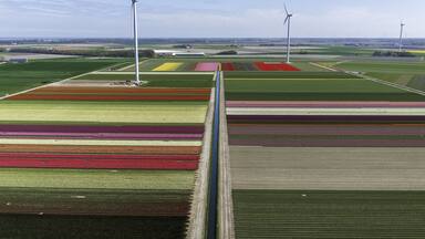 Lelystad