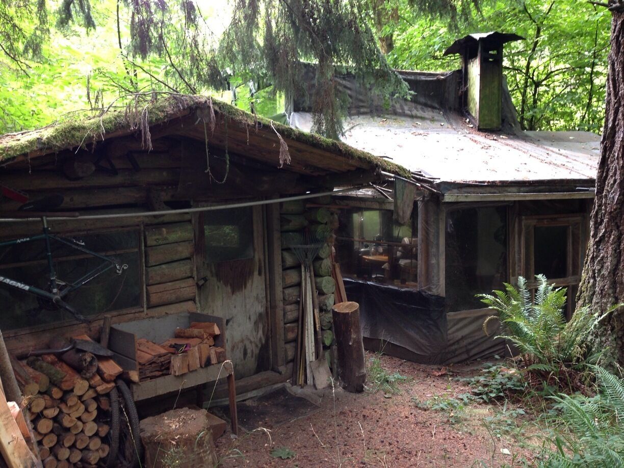 Elaborate homeless cabin in the woods behind top foods